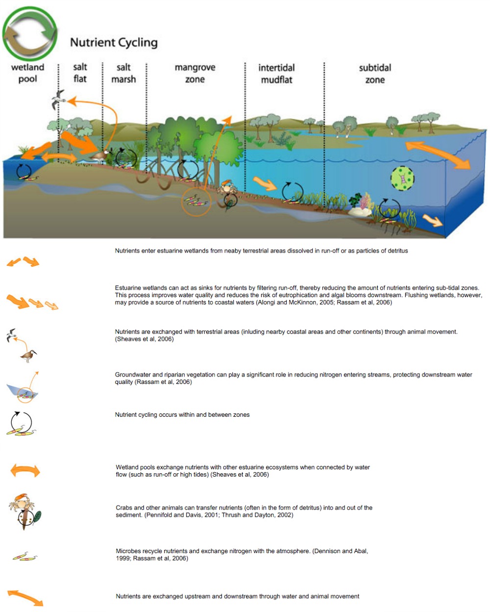 Nutrient Cycling | Freshwater Inflows